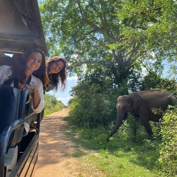 Udawalawe Safari Jeep Service