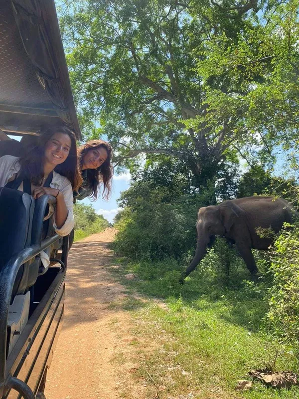 Udawalawe Safari Jeep Service